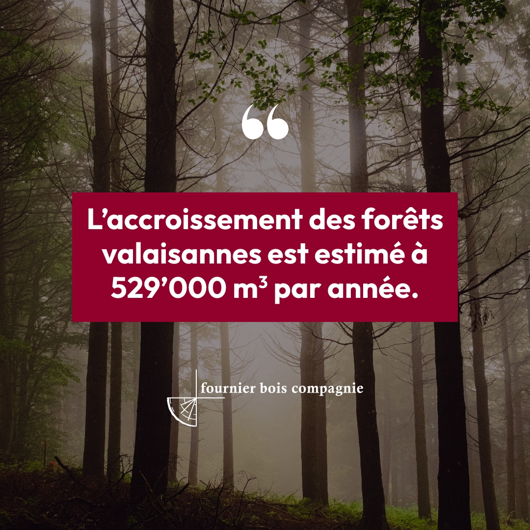 L'accroissement des forêts